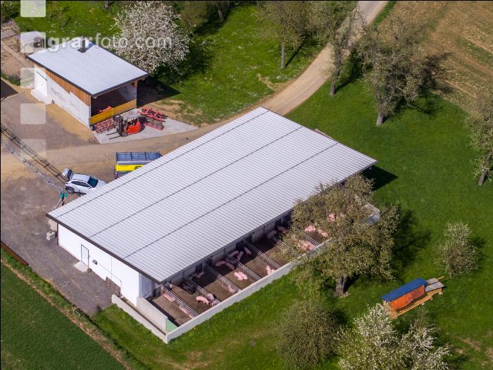 Pigport-3 2