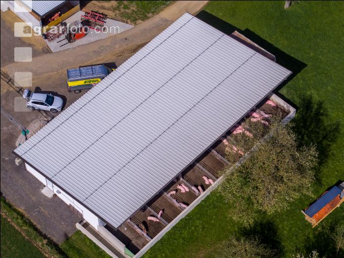 Pigport-3 1