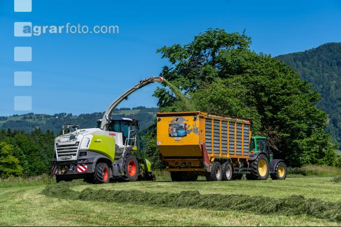 Gras häckseln im Berggebiet 15