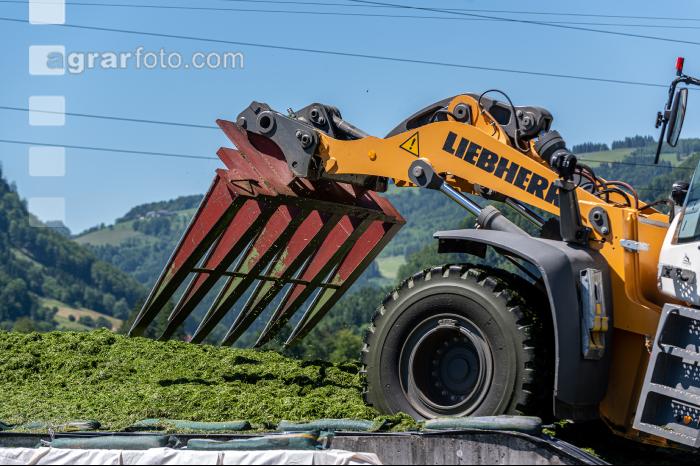 Fahrsilo 108