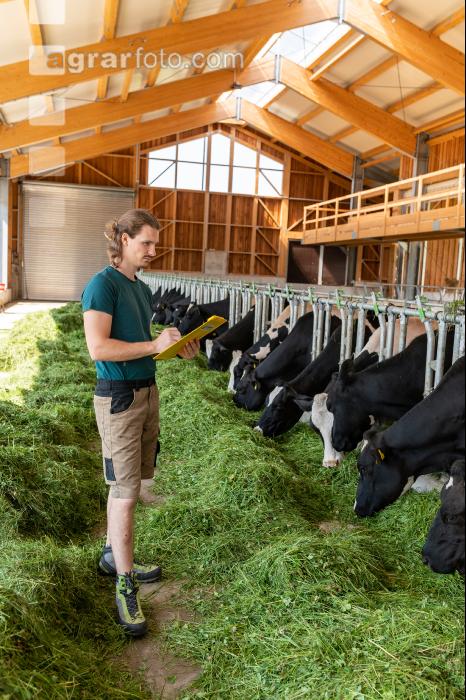 Holstein Management 12