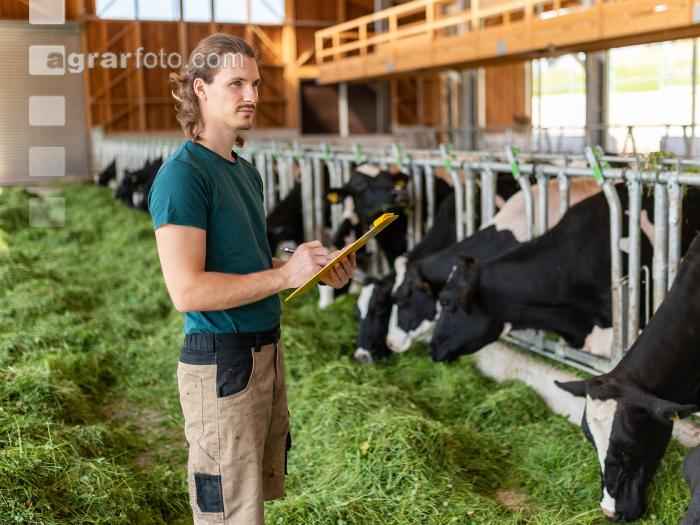Holstein Management 10