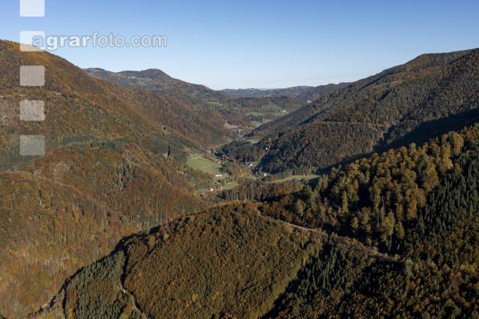 Bergbauernhof im Ennstal 1