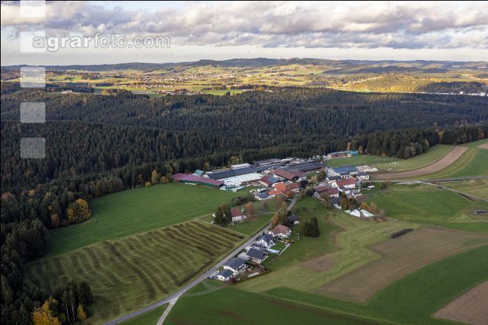 Großer Milchviehbetrieb 3