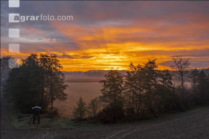 Herrliches Morgenrot 3
