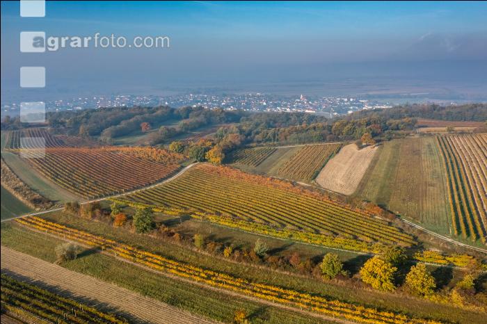 Oslip im Oktober 1