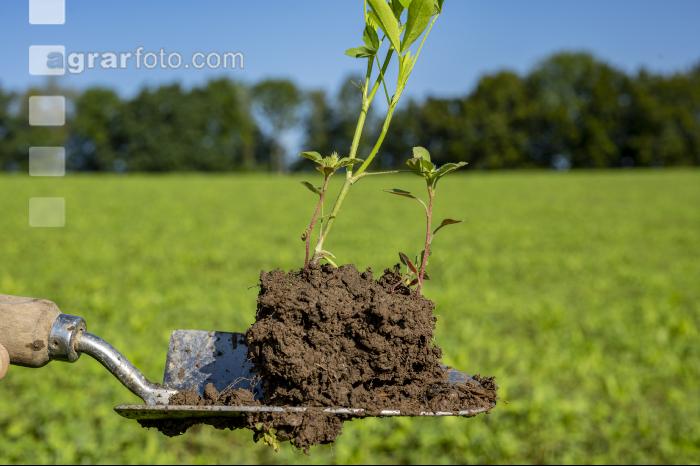 Neue Bilder Juli 2022