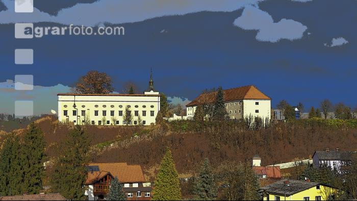 Schloss Kremsegg Comic 2