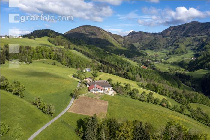 Grünland Berggebiete 4