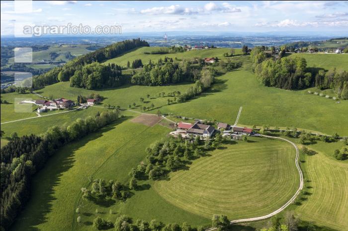 Grünland Berggebiete 3