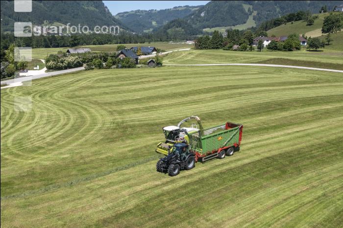 Gras häckseln im Berggebiet 32