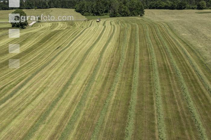 Gras häckseln im Berggebiet 24