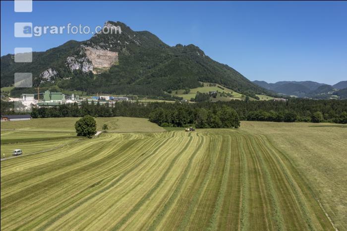 Gras häckseln im Berggebiet 23