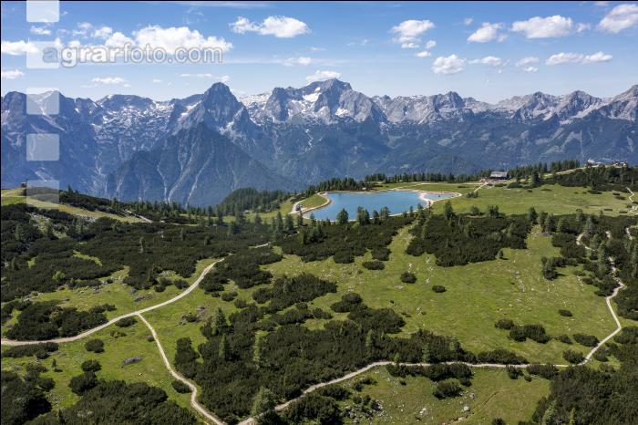 Speichersee im Sommer 