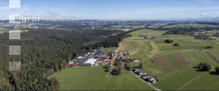 Großer Milchviehbetrieb 2