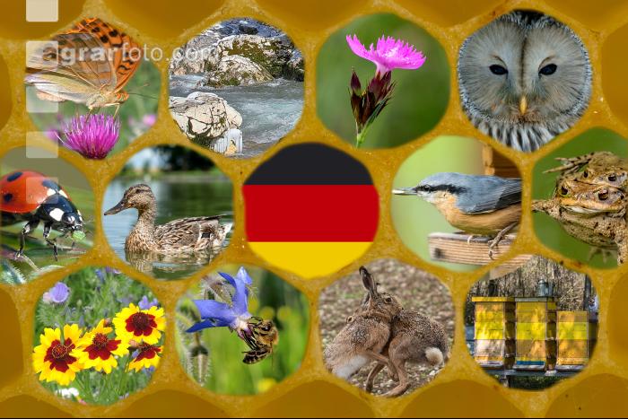 Deutschland und Artenvielfalt