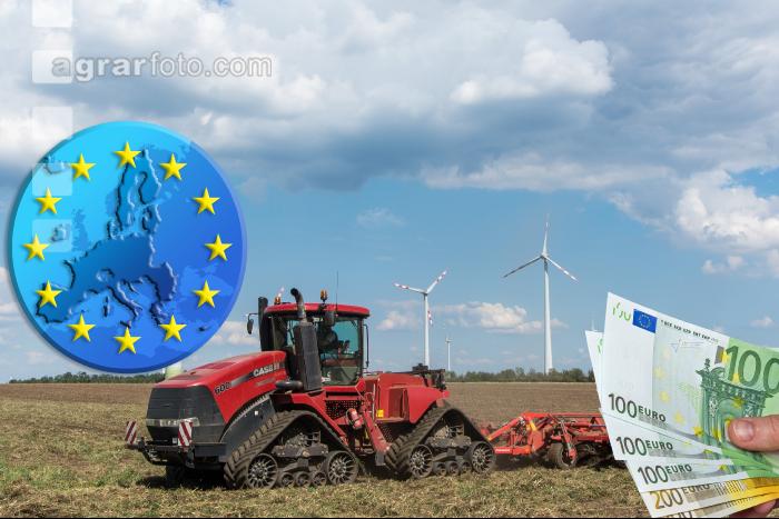 EU Förderung Großbetriebe 4