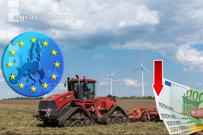 EU Förderung Großbetriebe 1