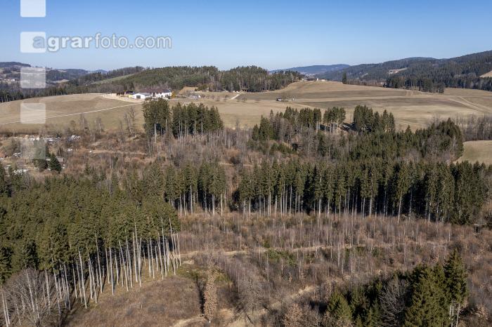 Trockenheit März Wald 5