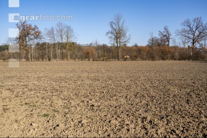 Trockenheit März Acker 10