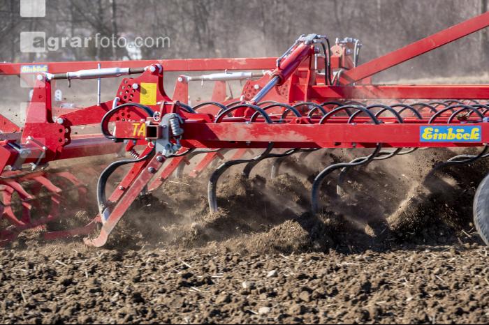Seed bed preparation beets 5