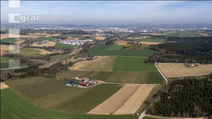 Obstbaubetrieb 2