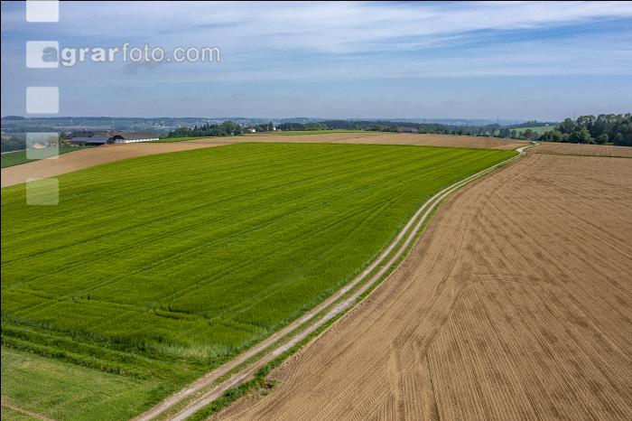 Agrarland im Mai 20