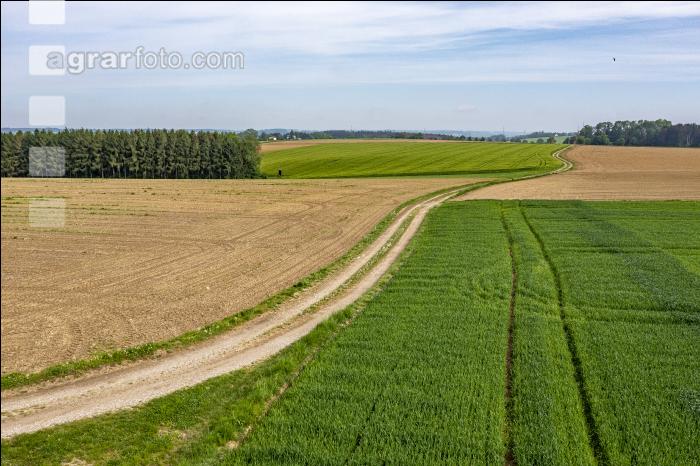 Agrarland im Mai 18