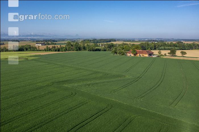Agrarland im Mai 14