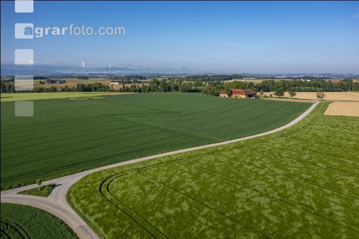 Agrarland im Mai 13