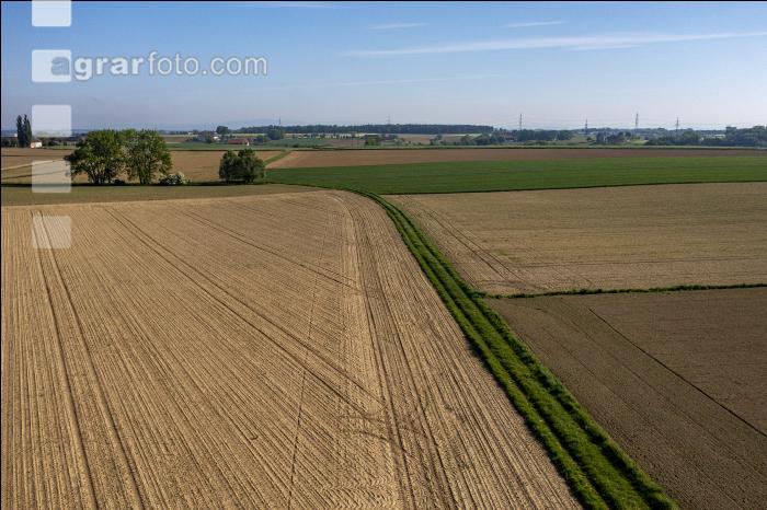 Agrarland im Mai 7