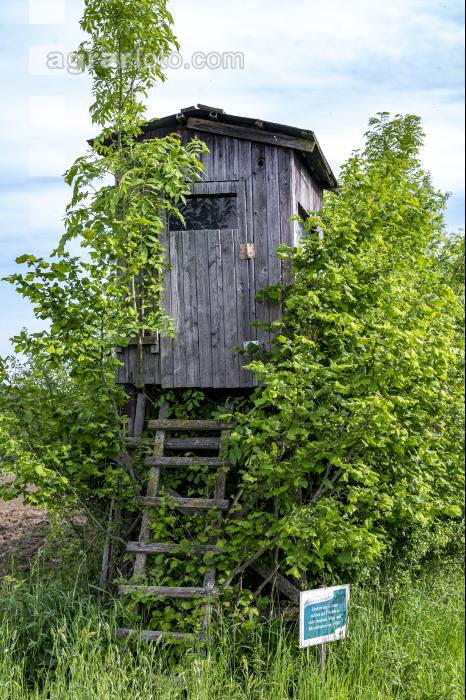 Hochstand 22