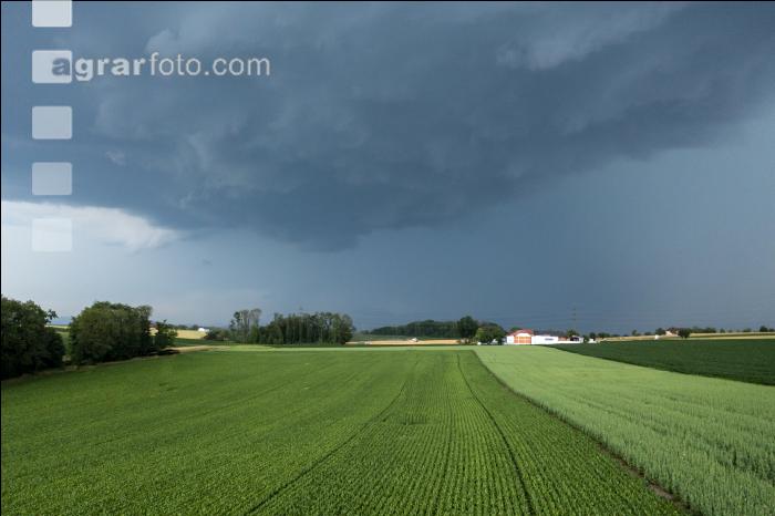 Schweres Unwetter naht 4