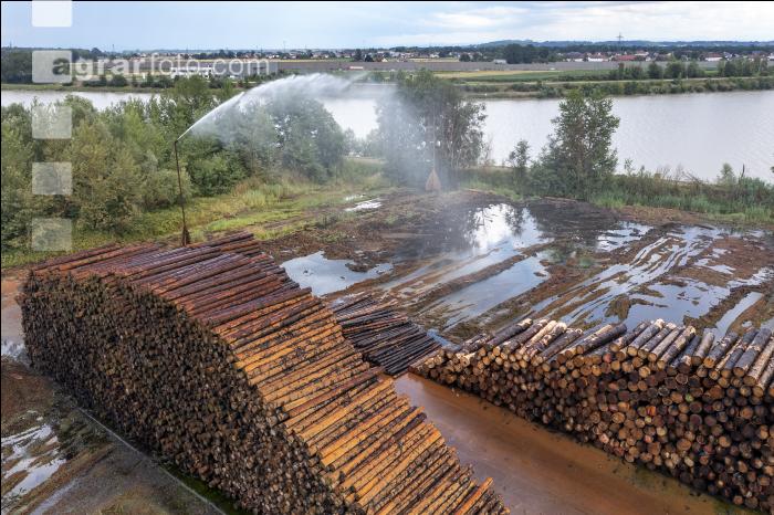 Holz Nasslager 11