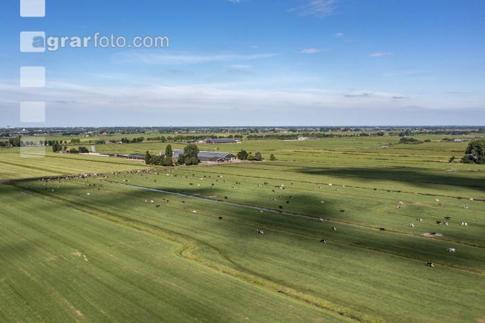 Polder Niederlande 12