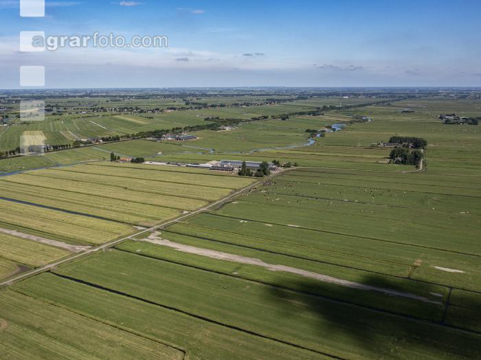 Polder Niederlande 10