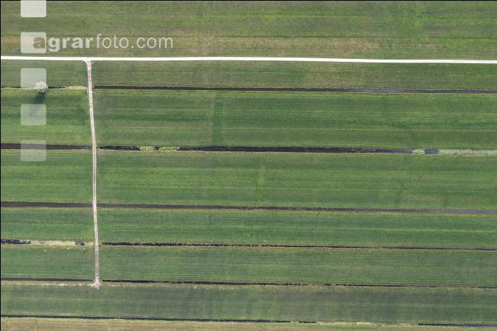 Polder Niederlande 6
