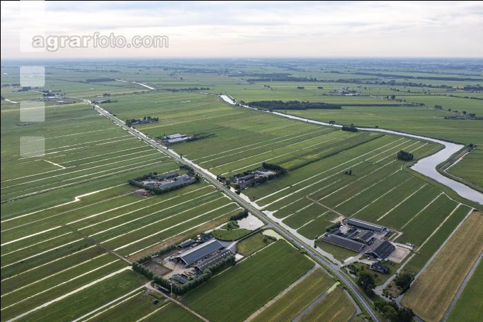 Polder Niederlande 4
