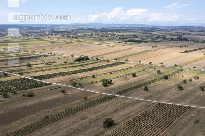 Trockenheit Burgenland 3