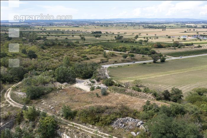 Trockenheit Burgenland 2