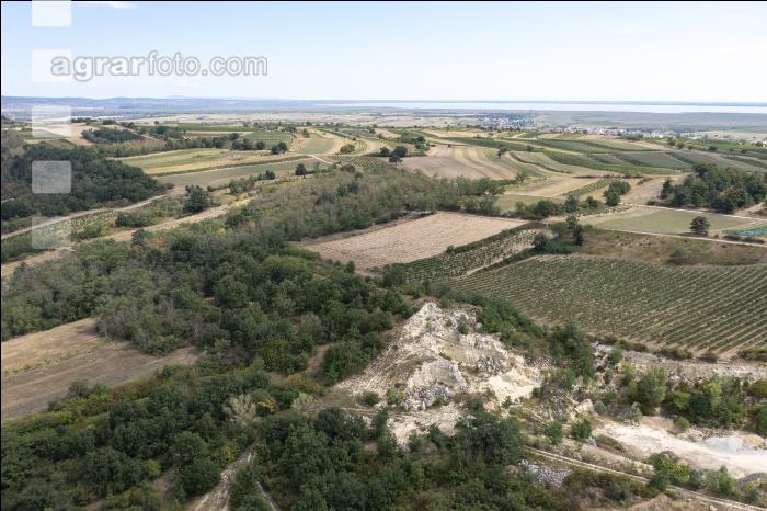Trockenheit Burgenland 1