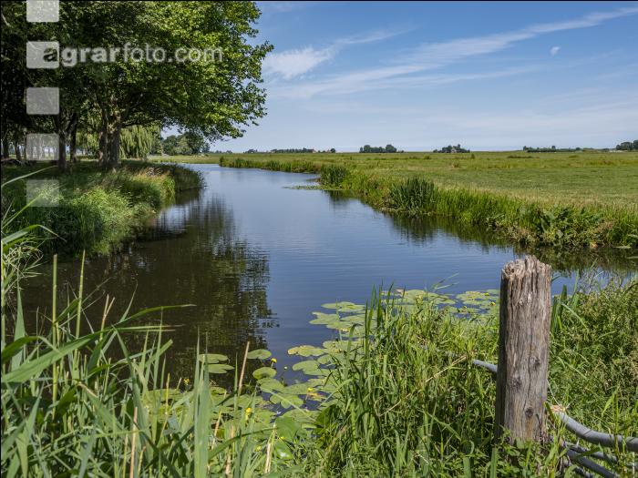 Marschland Niederlande 4