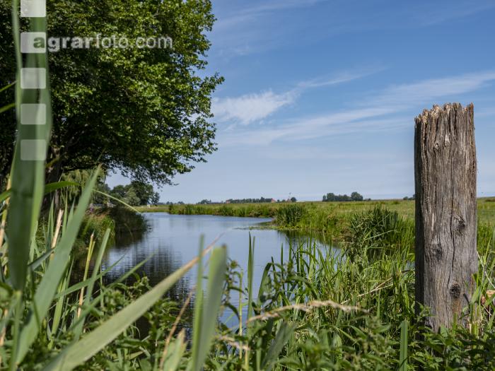 Marschland Niederlande 3