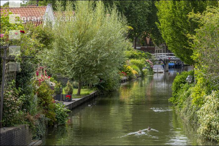 Marschland Niederlande 1