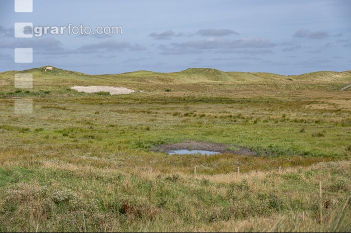 Nordseedeiche Holland 3