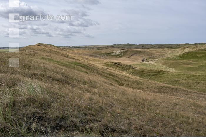Nordseedeiche Holland 2