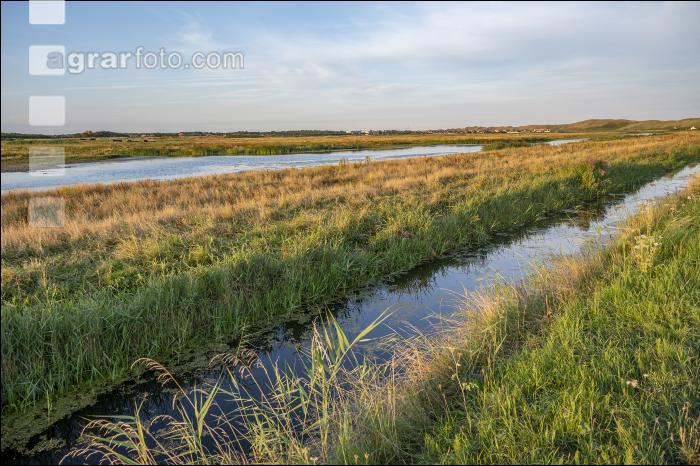 Polder Niederlande 15