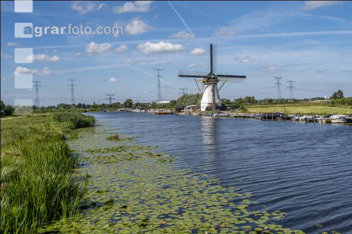 Windmühle in Holland 3