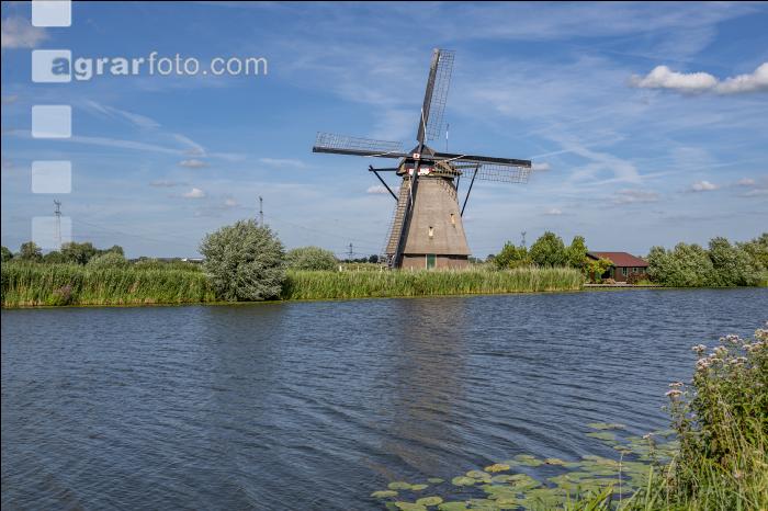 Windmühle in Holland 2