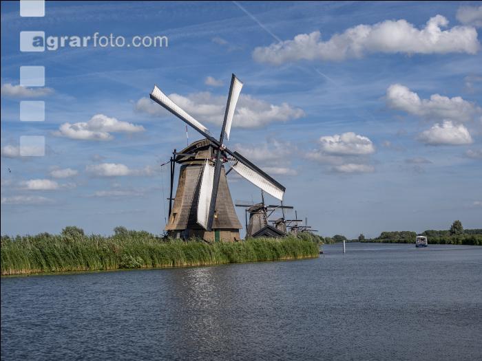 Windmühle in Holland 1